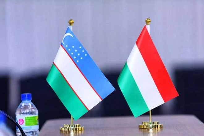 uzbekistan-i-vengriya-dialog-v-zanyatosti-i-obuchenii-kadrov